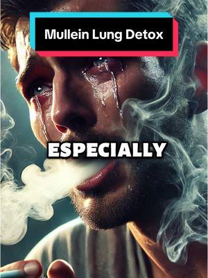 Why everyone needs to detox their lungs using Mullein #mullein #mulleinleaf #mulleinextract 