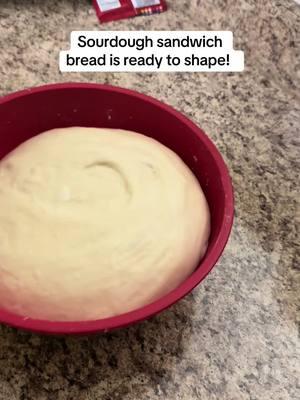 Sourdough sandwich bread! 1/2 cup starter, 1 cup warm water, 3 cups bread flour, 1.5 tbs of olive oil and 1/4 cup sugar. #sourdoughsandwichbread #sourdoughbread #sourdoughsandwichloaf #sandwichbread #homemadebread 