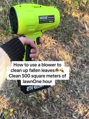 #TTSDelight#Thisblower is a must have. light weight, and powerful!#wireless#blower#evaluation#shoptiktok#backtoschool#tiktokfinds#blower#leafblower#outdoortools#outdoorequipment#ad#goodthing#TikTokShop#usa_tiktok