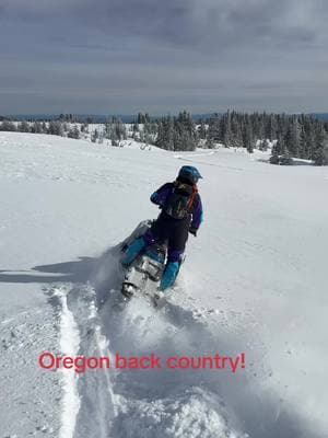 Little snowmobile rip@In the Oregon backcountry!#oregonsnowmobile#skidoosummit850 