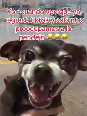 #videos #chistosos #humor #regresotiktok 