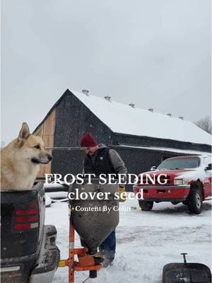 We had some left over clover seed from last year, Colin found this salt spreader on sale so wanted to try something new. #frostseeding #snowday #agriculture @tarterusa @Chevrolet #beefcattle #farming #kentucky #kentuckyproud #ContentByColin 