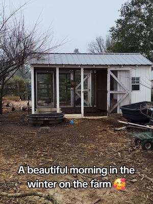 Sometimes life, like the farm, has a ‘down season.’ 🍂 On this cool, crisp morning, the old straw lays quiet, the new trees stand tall, and the land rests. Things may look a little rough now, but in nature—and life—it’s okay to pause. Rest. Recharge. Come spring, beauty will bloom again. 🥰🌱 #FarmLife #SeasonsOfLife #NatureInspires #BleatingHeartsFarm #RestAndRecharge 