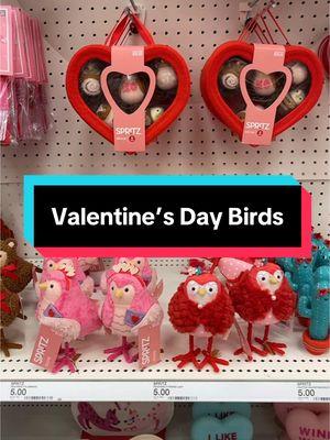 Valentine’s Day @target birds. #target #ValentinesDay #targetbirds 