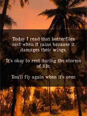 🦋 You will fly again. #youwill #fly #flying #truestory #butterflies #quotes #truthbetold #storms #itshard #itsokaytonotbeokay #lifequotes #trustgod #trustingod #prioritizeyourself #priorities #healingprocess #traumatok #nevergiveup #staystrong #strength #bebrave #yougotthis #keepgoingdontgiveup #dontstop #youdeservebetter #enoughisenough #dailyinspiration #motivationalquotes #inspirationalquotes #sadvibes🥀 #sadness #dark #broken #mentalhealthmatters #mentality #mindsetcoach #moodflip #havefaith #itwillgetbetter #darkness #trending #chooseyou #workhard #believeinyourself #focuson #deepquotes #thoughts #ifyouknowyouknow #ifykyk #boundaries #SelfCare #selflove #selfacceptance #importantmessage #listenup #riseup #spiritualtiktok #awakening #depression #anxiety #anxiousthoughts #mentalheath #selfgrowth #loveyourself #feels #emotional #selflovejourney #youmatter #youareamazing #youarenotalone #knowyourworth #powerful #empowerment #healthyliving #LifeAdvice #therapytiktok #mytherapistsays #journaling #writingaesthetic #writer #poema #poetrystatus #poet #bekindtoyourself #mentality #positivity #findingjoy #explore #capcut_edit #realtalk #sotrue #alwayslearning #whatsyourpower #todayilearned #mindsetshift #lifechanging #hitsdifferent #quoteoftheday #blowthisupforme #helpthisgoviral #feeltheflip #encouragement #daysofourlives #foryourpage #fypage #sunsetlover #sunsets #goldenhour #damaged #getbackup #whateverittakes #chaseyourdreams #dreamtok #natureza #aestheticvibes #youareenough #selfimprovement #GlowUp #alldayallnight #🧡🧡🧡 #🍑 #🍊 #fypquotes #relatable #energyhealer #selfcaretiktok #happinessbegins #happyathome 