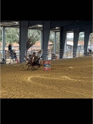 Lucky placing in barrels today even with not the best run #fyppppppppppppppppppppppp #rodeo #blessed #guysluckystreak #sorrel #nlbra 