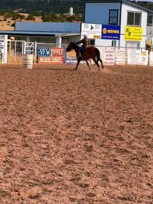 17+ hand 5 year old gelding Rascal's first lope through pattern #rockinkhorses #rascal #pedrosrascal #dunhorse #dungelding #barrelhorse #barrelracer #barrelracing #barrelracingtok #arena #EagarAZ #Arizona #azhorselife #random #randomvideo #FNX #fnxfit #FNXelite #fnxambassador #hygainfeeds 