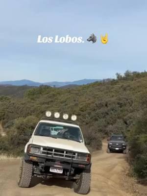 Los Lobos 👊 🐺 #tacomabeast #toyotatacoma #landcruiser #4runnermafia #lobosoffroad 