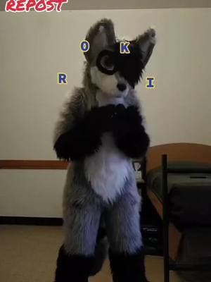 Pretty sure this was the first ever post on my account. Guess it's kinda cool that it won't be the last as well. #fursuit #fursuits #fursuiter #fursuiters #fursuiting #furry #furries #fursuitersoftiktok #fursuitsoftiktok #furriesoftiktok #raccoon #raccoons #raccoonsoftiktok #raccoonfursuit #raccoonfursuiter #rokidokirockstar #fyp #foryou #foryoupage #trending 