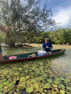 Los saludamos desde los pueblos vivos 👍 #elsalvador #vidadelcampo #pesca #rios #mangleras 