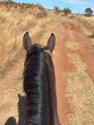 Ya que no quitaron TikTok aquí seguimos con los videos 🫶🏻♥️ #zacatecas #rancho #vidaderancho #ranch #ranchlife #campo #vidadecampo #mexico #chuladademaiz #chuladademaizprieto #montar #caballos #cabalgar 