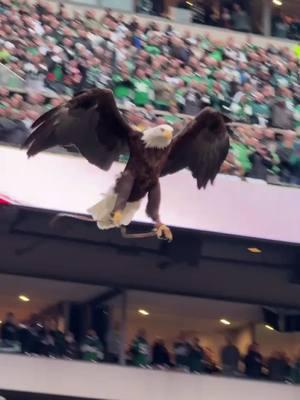 Everyone’s favorite pregame tradition 🦅 #eagles #NFLPlayoffs #eagle #flyover #nationalanthem 