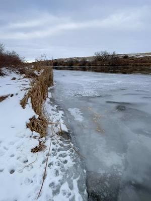 looks like we shall be continuing on our journey of making the best outta a bad situation & havin fun along the way 😉  #winter #frozenriver  #exploretheworld #goodvibes #sharepositivity 