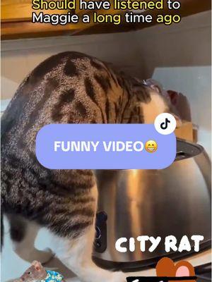 #funnyvideo #ratsandcats #laviejaestacion📻🇵🇷 #laborishorty2 #Diosesamor #comparteestevideo #somoslaviejaescuela #diaspora787🇵🇷 #sitegustadalelike #volvimos_tik_tok 