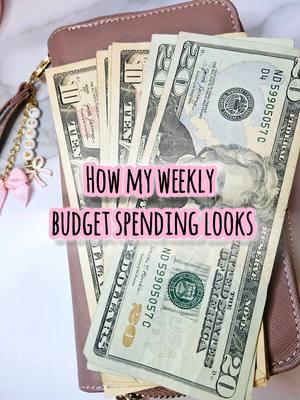 Let's cash stuff my Slim Zippy Wallet for the week. #budgeting #cashstuffingsystem #slimchicwallet #slimwallet #onthegowallet #cashstuffing #howtocashstuff #paycheck #spending #organigastos #budgeting #cashbudgetsystem #budgetfriendly 