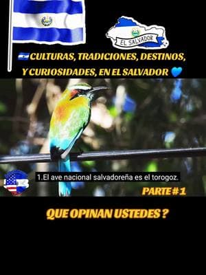 🇸🇻 AQUI VENIMOS DE NUEVO TIKTOK  🙌🙏💙🇸🇻 #elsalvador #fypシ #salvadoreños #parati #fypシ゚viral #elsalvador🇸🇻 #viralvideo #viraltiktok #salvadorean503usa #elpulgarcito🇸🇻 