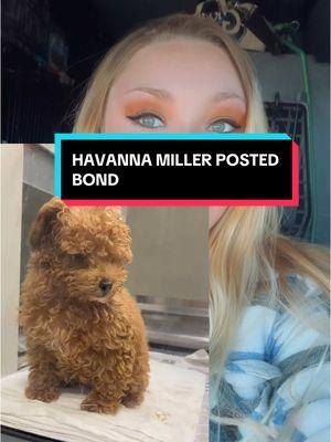 Havanna Miller has posted bond and is being released. While the puppy has to stay locked away pending the criminal investigation. How is that Fair she gets to go home while the dog she traumatized endures this crap alone? #havannamiller #texascheck #HoldThemAllAccountable #sanantonio #justice #signthepetition #triggersarning 