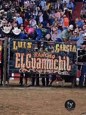 #jaripeo #jinete #rancho #toros #tradiciones #jaripeoprofesional #pbr #ariat #cowboy #bulls #ranchoelguamuchil #mexico #guanajuato 