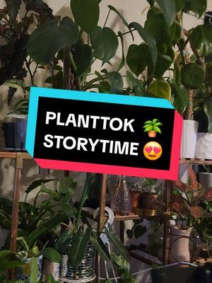 I'm so Happy 😊 to have My Planttok Family Back #storytime #PlantTok #plantsoftiktok #houseplants #plants #PlantTok #plantsoftiktok #plantlover #plantaddict #plantlady #planttherapy #plantmom #plantenthusiast #contentcreator #greengardenbunches #thezubigarden #mamaafrica #coconutoilandlocs #trending #fyp 