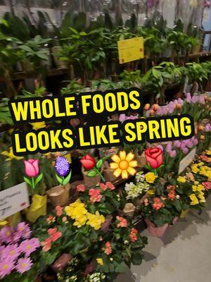 Whole Foods looks like  Spring #spring #wholefoods #houseplants #plants #PlantTok #plantsoftiktok #plantlover #plantaddict #plantlady #planttherapy #plantmom #plantenthusiast #contentcreator #greengardenbunches #thezubigarden #mamaafrica #coconutoilandlocs #trending #fyp 