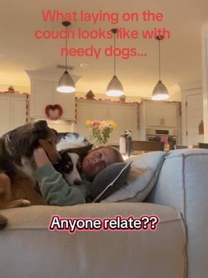 Anyone?? #dogs #dogsoftiktok #dogtok #dog #needy #puppy #puppies #puppiesoftiktok #silly #personalspace 