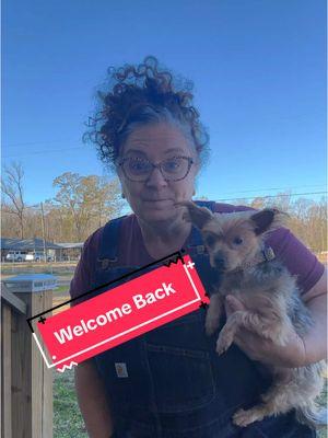 Louisiana Weather Update #tiktokreturns #weather #snowinlouisana #grayhair #silverhair #over50andfabulous #overalls #yorkie 