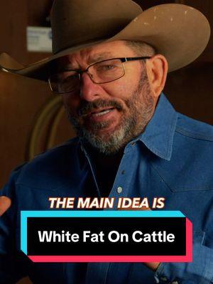 Feeder cows are all about turning potential into profit!  By feeding them for 60-120 days, you can turn their fat into high-value white fat, making a big difference at the packing house. Smart feeding strategies mean bigger returns. Make sure you’re doing everything you can to have your cattle bring in the biggest check possible! #rutherfordlandandcattle #cattlefarming #ranchlife #cowfarm #cows #farmanimals #agribusiness #agriculture 