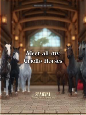 I’ll be posted a 3 part of All My Horses very soon!  | #starstableonlineedit #starstable #horses #sso #brookeseagirl #seagxri #trend #fyp #foru #criollo #newhorse #meetmyhorses |