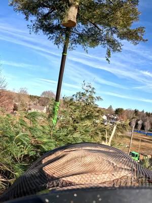 #treeclimber #howtocranetreeremoval #bluecollar #deflection #massachusetts #treeremoval #arborist #treeclimber #cranework #treestuff #Boston #petzl #