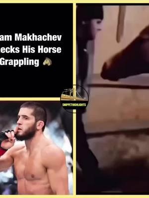 Islam Makhachev Checks His Horse Grappling 🐴 #islammakhachev #khabibnurmagomedov #khabib #zubairatukhugov #conormcgregor #khabibtime #nurmagomedov #dagestan #islam #ufcfightnight #wrestling #boxing #mmafighter #khamzatchimaev #champion #zabitmagomedsharipov #danawhite #dustinpoirier #makhachev #natediaz #jonjones #charlesoliveira #ufcfighter #mcgregor #khabibchamp #maxholloway 