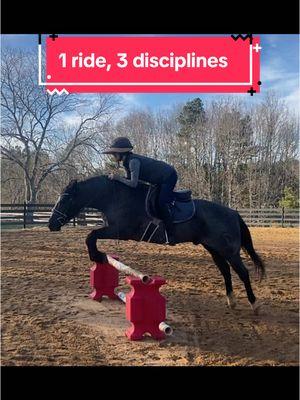 1 ride, 3 disciplines 💃🚀🤠 Welcome back TikTok, just in time to make a video of my ride the other day😝 #fyp#foryoupage#aqha#quarterhorse#blueroan#hancockhorses#hunterjumper#westernhorse#equestrian#horsegirl#dressagehorse 