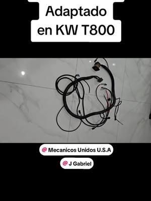 ☎️*5️⃣6️⃣1️⃣*9️⃣8️⃣5️⃣*3️⃣0️⃣2️⃣1️⃣ GABRIEL @mecanicos.unidos_u.s.a #serie60 #diesel #detroit #kenworth #caterpillar #mecanicadiesel  #camioneroscubanos #trucker #truck #trucks #trucking #trucktok #truckpower #dieselmechanic #truckdriver #camioneroslatinos  #trailero #camion #camioneros #camiones #camionero #camionerosusa #camionera #dieselpower #dieseltruck #diesellife #volvo #frightliner #peterbilt #mecanica #truckrepair 