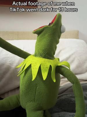 They really just sent us to bed without dessert 😩😂 #tiktokisback #tiktokban #myheartwillgoon #dramaticmoments #dramatic #extra #wompwomp #kermit #kermitmemes #crashout #crashoutkermy 