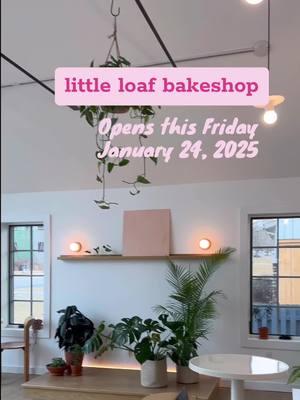 Our vegan bakery tenant Little Loaf Bakeshop is opening on Friday 1.24.25. Ill be there! #veganbakery #newpaltz @Little Loaf Bakeshop 