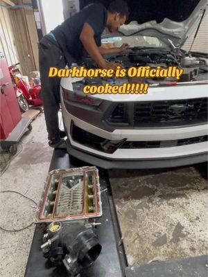 Rip Darkhorse!!!!!@Jay @Parker Jones @Scooby #tkmeverywhere #velocitymotorsports #fyp #steeda #mustang #