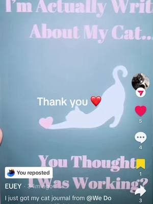 #thankyou ❤️🐈‍⬛🙏 #catsoftiktok #tiktokcats #SmallBusiness #journals #catmerch #forsale #amazon #amazonmusthaves #linkinbio 