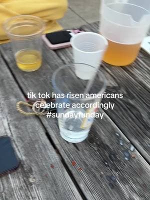 #tiktokisforever #youcantgetridofus #usgovleaveusalone