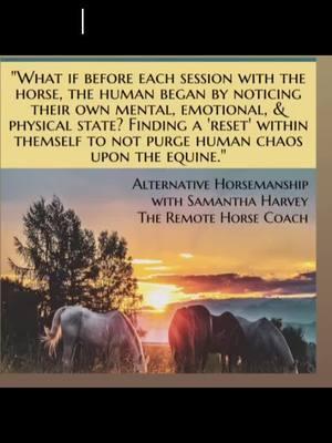 How often do you assess your mental and emotional state before interacting with the horse? Are you self-regulating or are you dumping emotionally on the equine? #alternativehorsemanship #horse #horses #horsequotes 