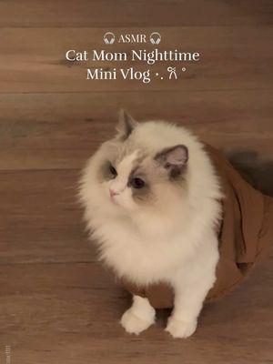 TIKTOK IS BACK?? I nearly pulled out my hair editing this without CapCut 😭🤍 A cat mom’s nighttime mini vlog ASMR  #minivlog #catmom #nighttimeroutine #ragdoll #ragdollcat #asmr #catasmr #catfeeding #feedingcattle #catcare #catfood #cutecats #petmom #catmomlife #romanticizeyourlife #romanticizingmylife #catlovers #catloversoftiktok #petlovers #asmr 