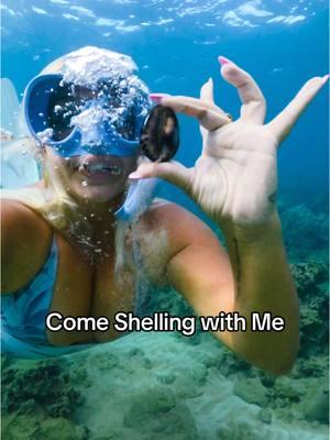 Come shelling with me #vacation #freedom #mermaid #shelling #shells #seashell #cowrie #freediving #freediver #snorkeling #snorkel #reef #hawaii #scuba #mermaids #maui 