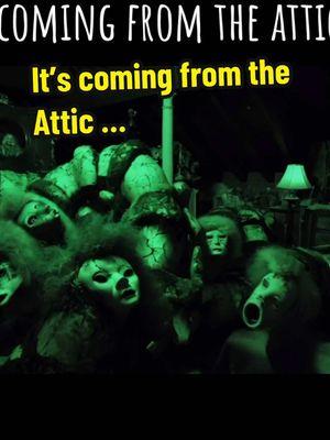 Who’s scared of the attic? #madnessmonster #creepycrawly #creepycrawlies #creepycrawlyco #horror #horrortiktok #horrorcommnuntiy #scarytiktoks #scaryattic #paranormal #spooky #fearofdolls #scarydoll 