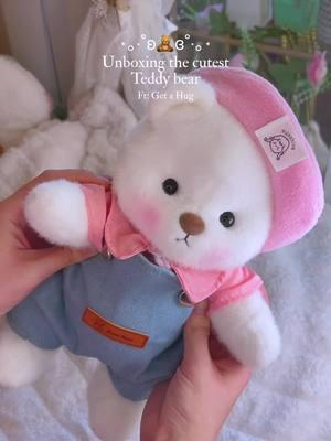 The cutest teddies 🧸🎀 watch the end for a discount c0de ✨🌷 . #getahug #aesthetic #musthaves #cutefinds #roomdecor #teddybear #haul #unboxing #giftideas #ValentinesDay #valentinesdaygift #pink #coquette  @Getahug.co 