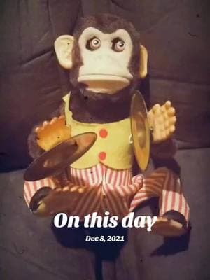 monkey shines #onthisday #allthingsweird #darktiktok #horror #deeptiktok #creepypasta 