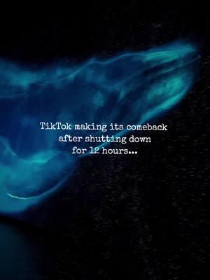 IT'S BACKKKK 📲🐳 . What did you do with your 12 hours? 😅 #tiktok #tiktokshutdown #tiktokisback #nycplugged #nyctodo #nycthingstodo #fyp #foryoupage #treatyourself #weekendvibes #bucketlist 