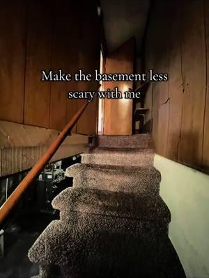 Since Tik tok is baaaacckkk #baaaackkkkkkk #renovation #house #basementrenovation #scarybasement #bathroomreno #houserenovation 