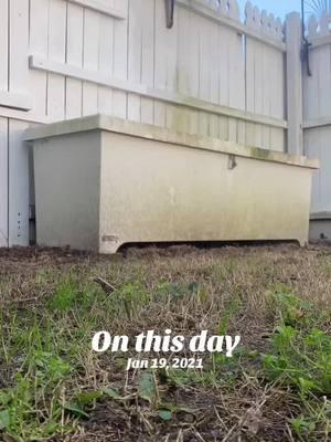 #onthisday #softwashing #pressurewashing 