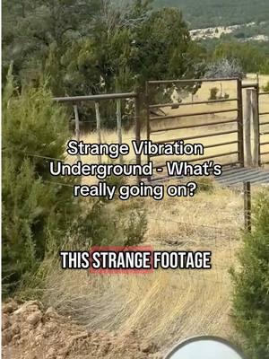 Strange Vibration underground - What is really happening? #underground #vibrating #vibration #woods #forest #Appalachia #CapCut #appalachian #creepypasta #appalachiantrail #appalachianmountains #supernatural #scaringpeople #horrortiktok #scaryvideos #creepytok #haunted #horrorgame #skinwalker #horrortiktok #conspiracy #misterio #paranormalactiviy #creepytok #historiasdeterror #horrorstory #truecrimetiktok #scarytiktok #hauntedtiktok #paranormaltiktoks #scarystories #wendigo #skinwalkervibes #rake #coyotes #shapeshifter #animals #wilderness #feralpeople