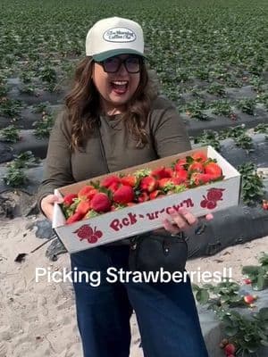 Your sign to go strawberry picking!! 🍓✨ #strawberrypicking #farmharvest #upickfarm #thingstodointampa 