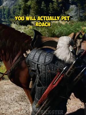 Here are some useless facts about the wildlife in The Witcher 3… #witcher3 #witcher3wildhunt #witcher3secrets #witcher3eastereggs #witcher3nextgen #witcher3bloodandwine #witcher3heartsofstone #thewitcher #cdprojektred 