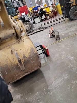 we didnt know if the spring had sprung 🙃 #heavyequipmentmechanic #mechaniclife #mechanicsoftiktok #texasmechanic #heavyequipment #bluecollar #paratii #fyp #texas 